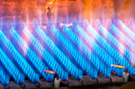 Westridge Green gas fired boilers